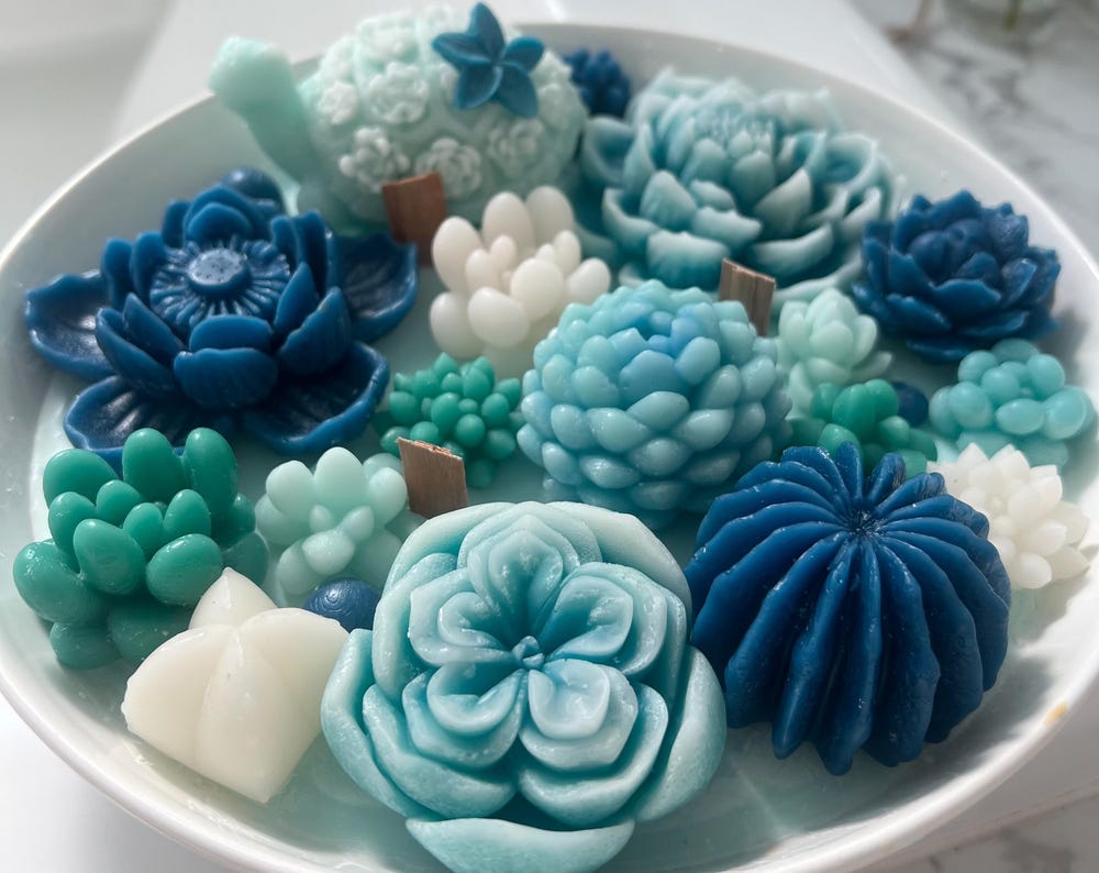 Artisan Cactus Turtle Garden Candle